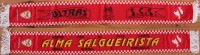 /album/alma-salgueirista/alma-salgueirista-jpg/